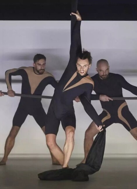 Wolf - Compagnie Circa