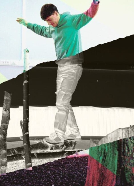 Alerte Blaireau dégâts