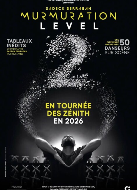 Murmuration - LEVEL 2 chorégraphié par Sadeck Berrabah