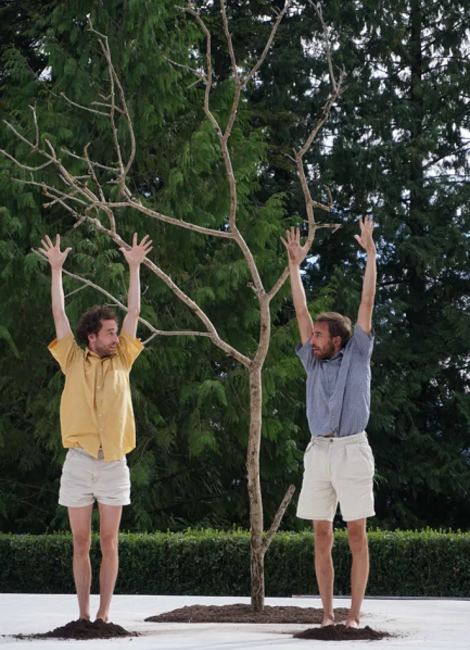 Nous, la forêt — Ou comment se planter