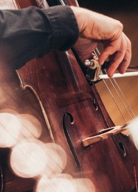 Vienne - Musiciens de l’ONL