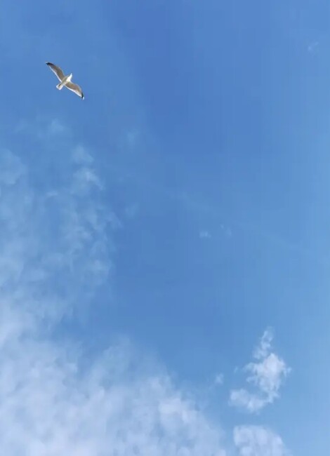 Au nom du ciel - Yuval Rozman