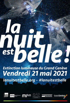 LA NUIT EST BELLE