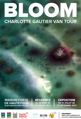 Bloom - Charlotte Gautier van Tour