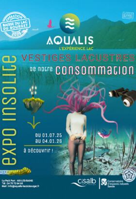 EXPO INSOLITE, vestiges lacustres de notre consommation