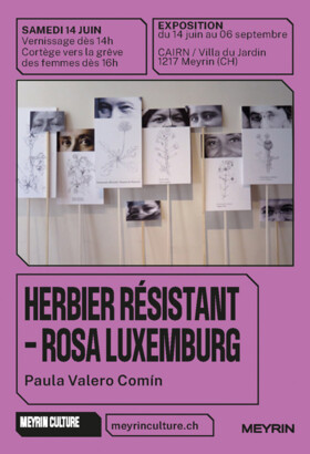 HERBIER RÉSISTANT ROSA LUXEMBURG DE MEYRIN