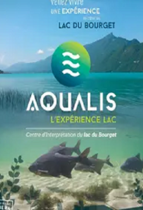 Jeu de la truite - Lac du Bourget