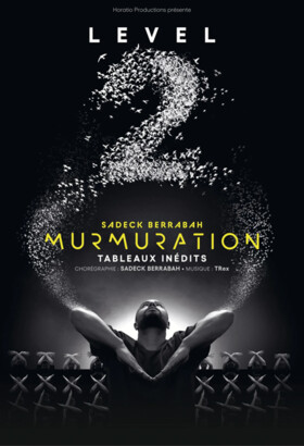 MURMURATION Level 2