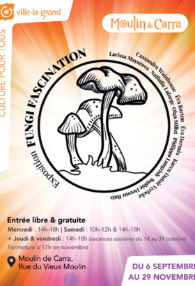 Exposition artistique : Fungi Fascination