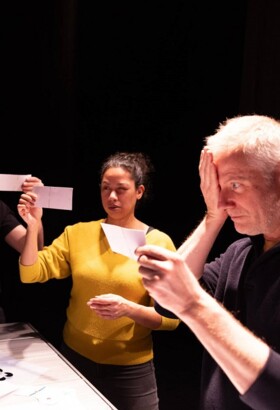 FAUXFAIRE FAUXVOIR - Thierry Collet / Compagnie Le Phalène