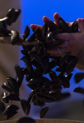 Semaine des tout-petits