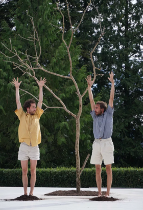 Nous, la forêt — Ou comment se planter