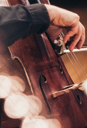 Vienne - Musiciens de l’ONL