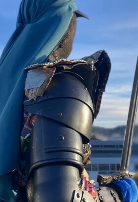 Nelvar – le royaume sans peuple