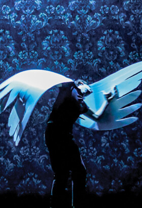 Vers les métamorphoses - Étienne Saglio