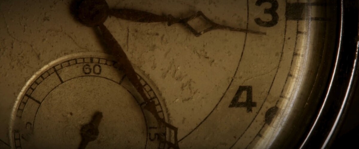 Les Dinos et l’Arche