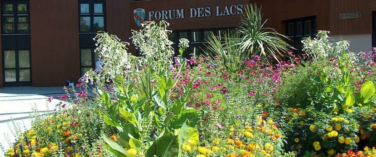 Forum des lacs