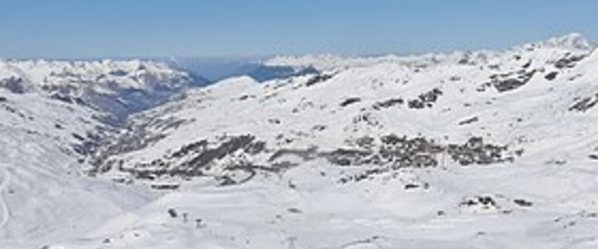 Les Belleville