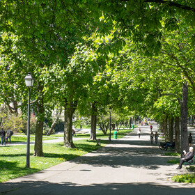 Promenade des Bastions Genève