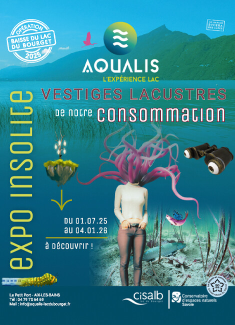 EXPO INSOLITE, vestiges lacustres de notre consommation