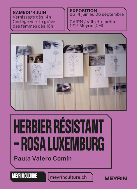 HERBIER RÉSISTANT ROSA LUXEMBURG DE MEYRIN