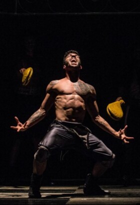 Boxe Boxe Brasil - Compagnie Käfig
