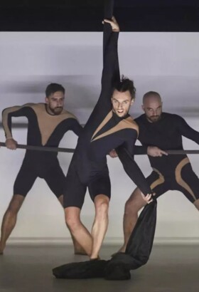 Wolf - Compagnie Circa