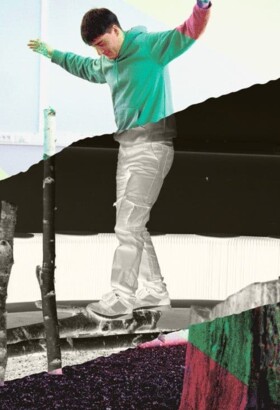 Alerte Blaireau dégâts